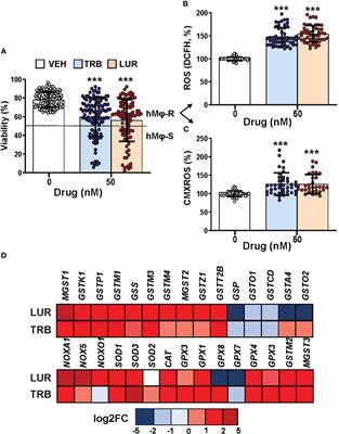 Immunometabolic actions of trabectedin and lurbinectedin on human macrophages: relevance for their anti-tumor activity